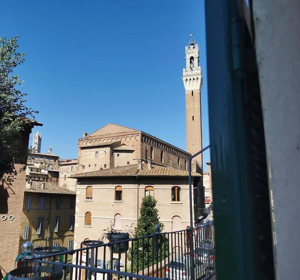 Il Rialto contacts